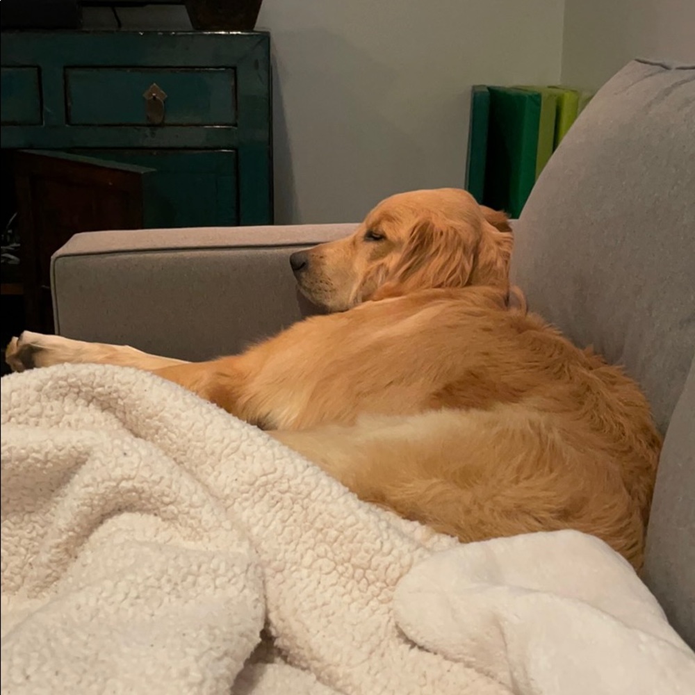 Meet your Posher, Colby